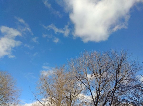 Небо весной