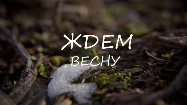 Надпись жду весну