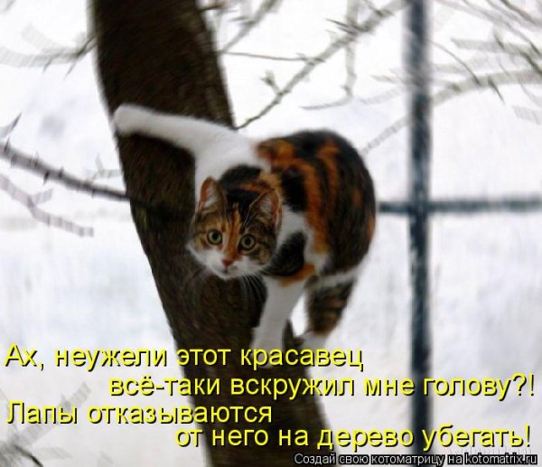 Вскружила голову