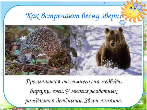 Звери просыпаются весной