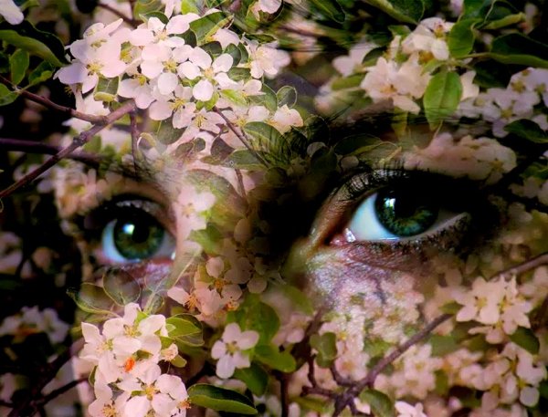 Глаза в цветах