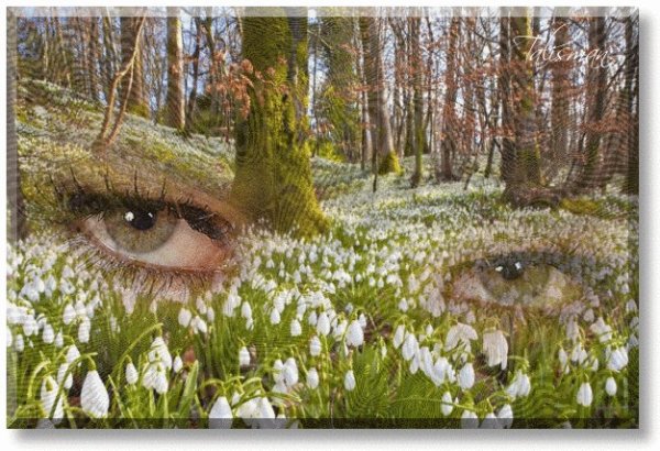 Нежная женщина