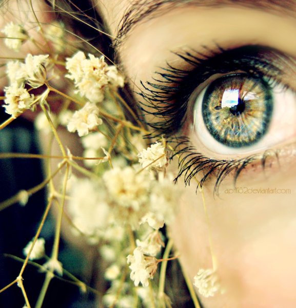 Разноцветные глаза