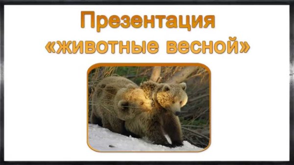 Медведь просыпается в берлоге