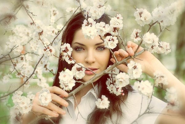 Весенняя красавица