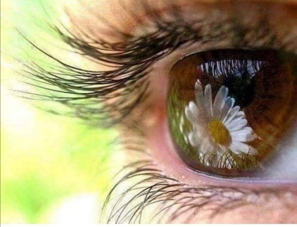 Портрет красивых девушек Весна