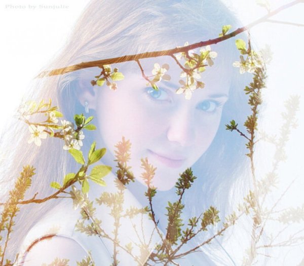 Елена Майнгардт