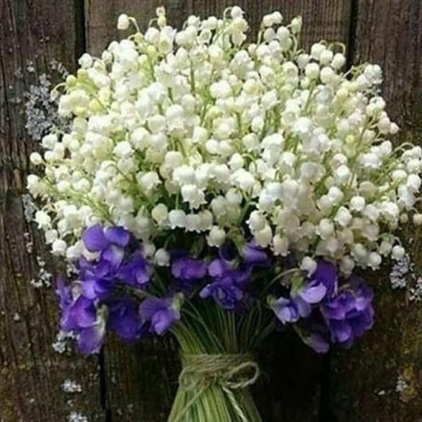 Про весну любовь и красоту