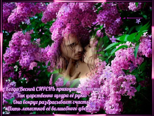 Весеннего настроения и душевного тепла