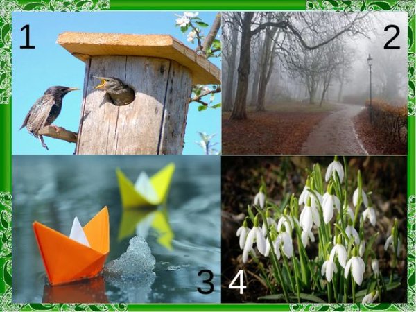 Четвертый лишний Весна