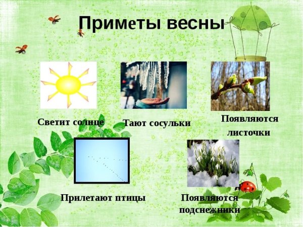 Приметы весны для дошкольников