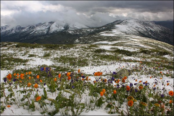 Норильск 2006