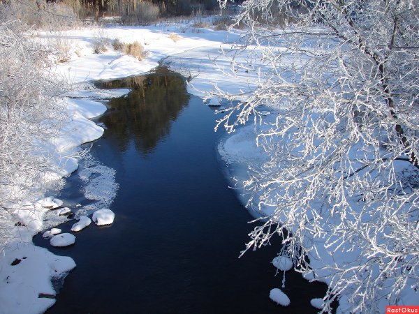 Весна Пробуждение природы