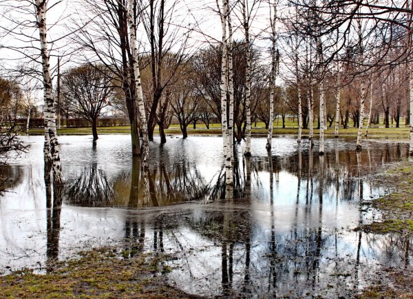 Пробуждение природы весной