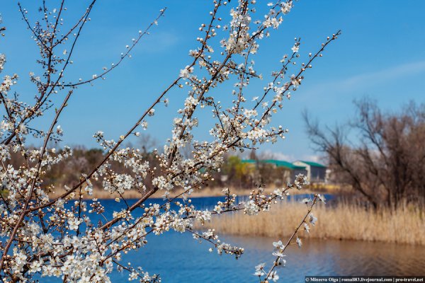 Пробуждение весны
