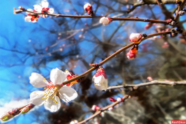 Пробуждение природы весной