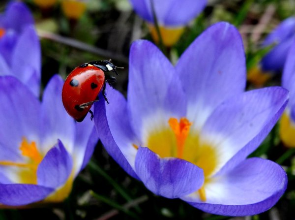 Апрельский пейзаж