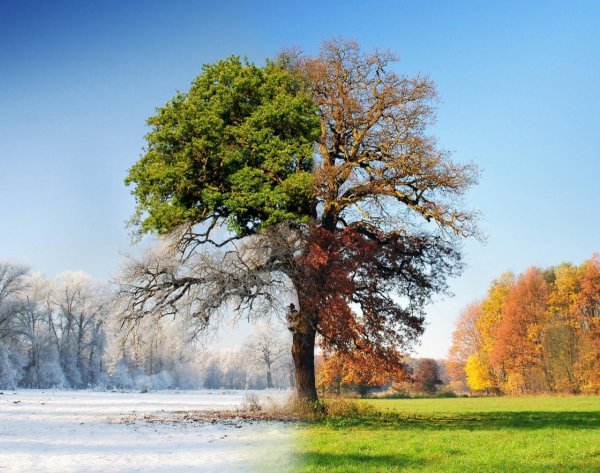 Пейзаж времена года