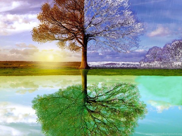 Seasons для детей