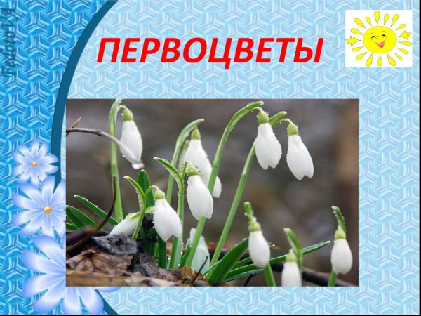 Весенние первоцветы для детей