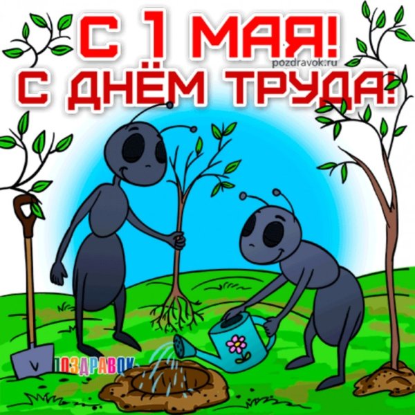 Поздравления с 1 мая прикольные