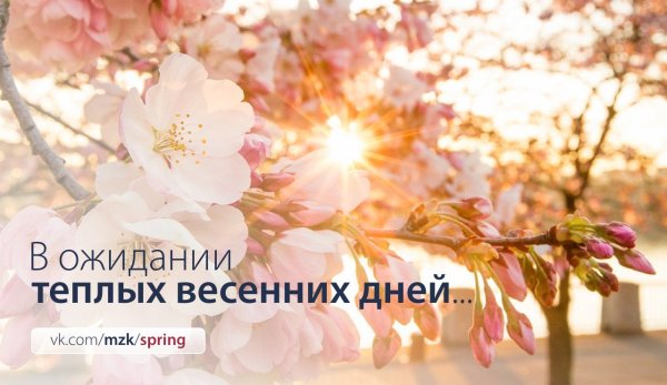 Теплого весеннего дня