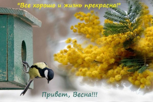 Доброе утро Весна на пороге