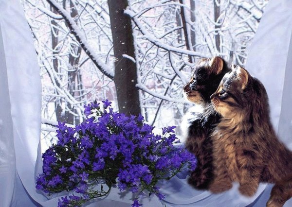 Зима пришла