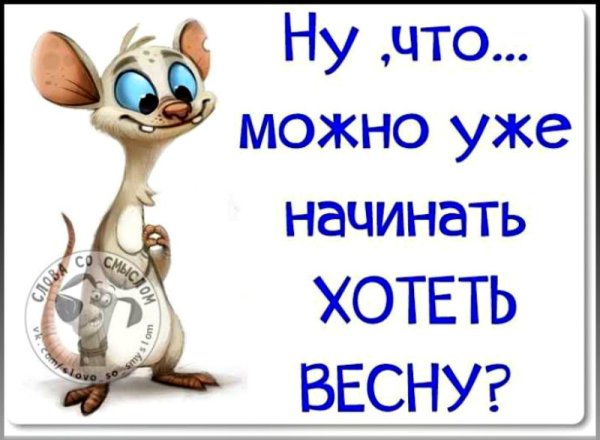 Цветы открытка прикольная