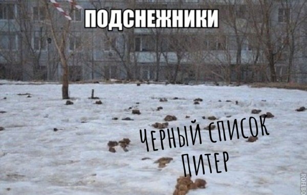 Мартовские коты просыпаются