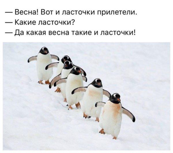 Весна открытки прикольные