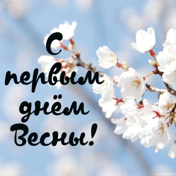 С первым днём весны открытки красивые