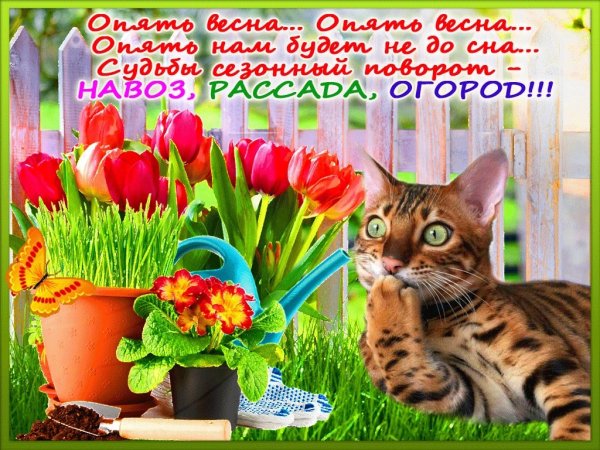 С первым днем весны смешные