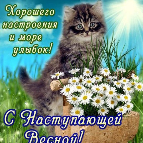 Замечательной весны