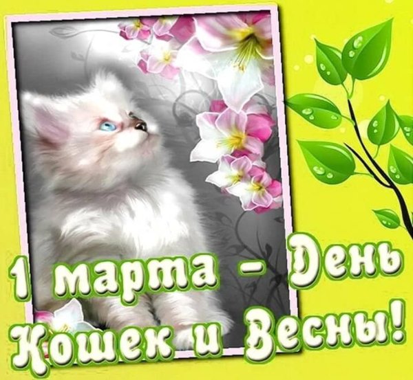Мартовский кот