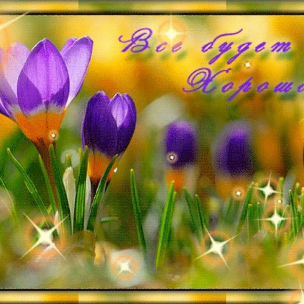 С новым весенним днем