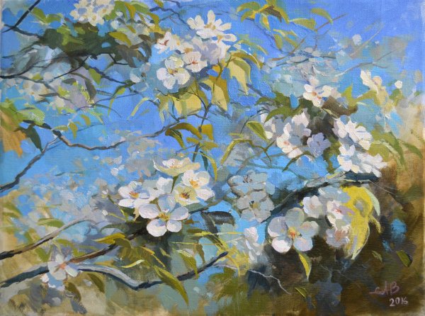 Вохмянин цветущие яблони