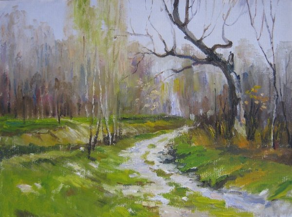 Художник Владимир Комаревцев