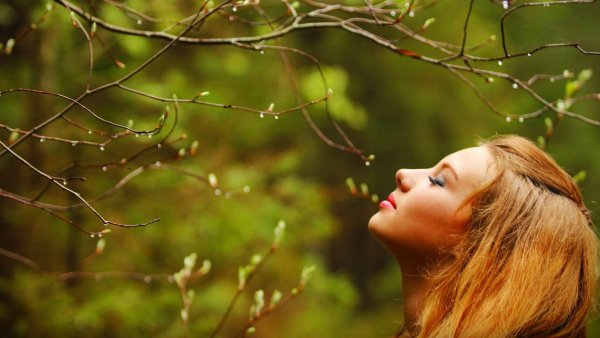 Наслаждение природой