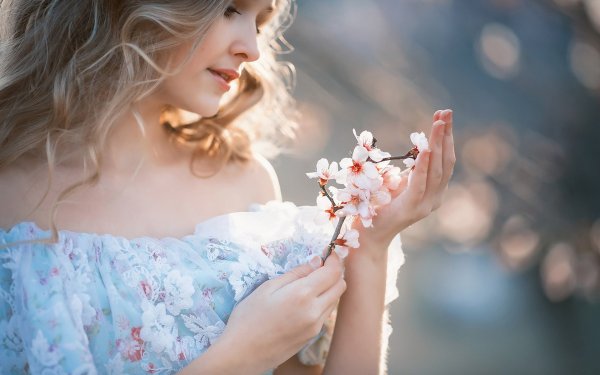 Кот на ветке