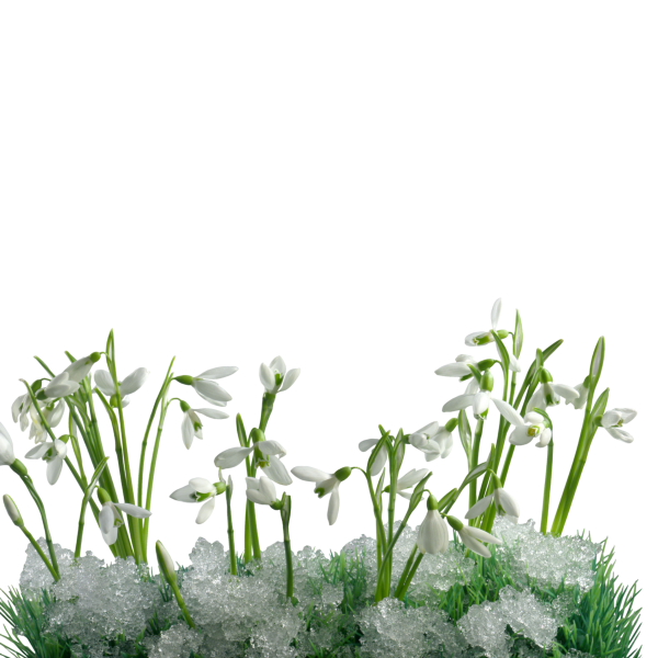 Открытка «Весна»