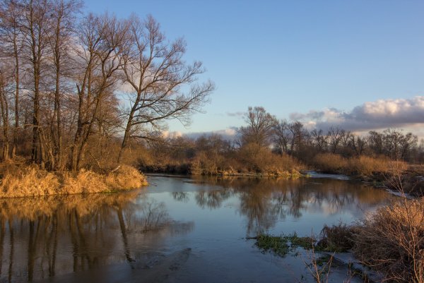 Шерна разлив