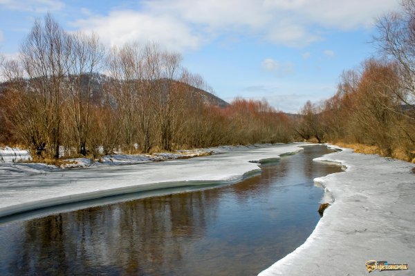 Река Голоустная