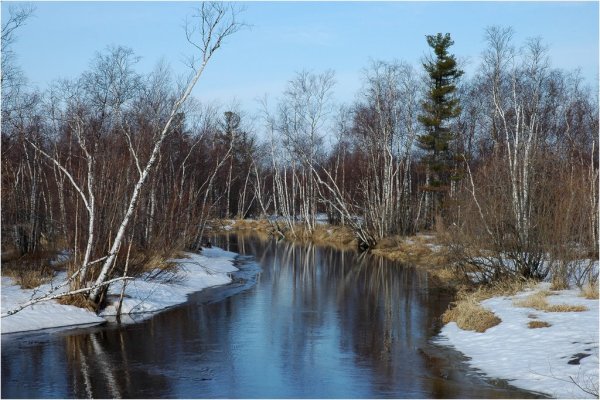 Речка ранней весной