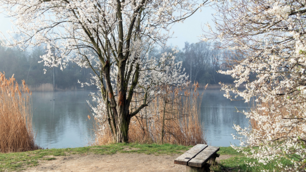 Весенне зимний пейзаж