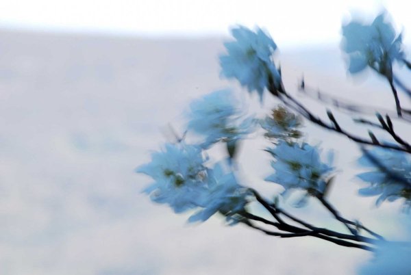 Дуновение весны