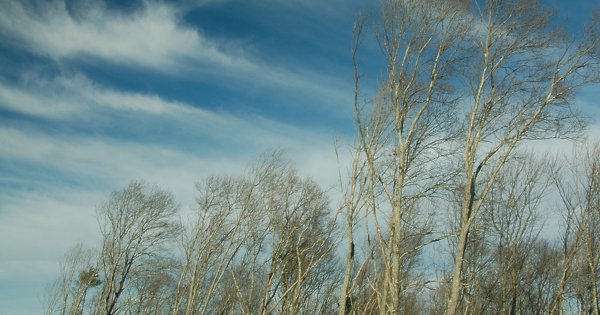 Сильный весенний ветер