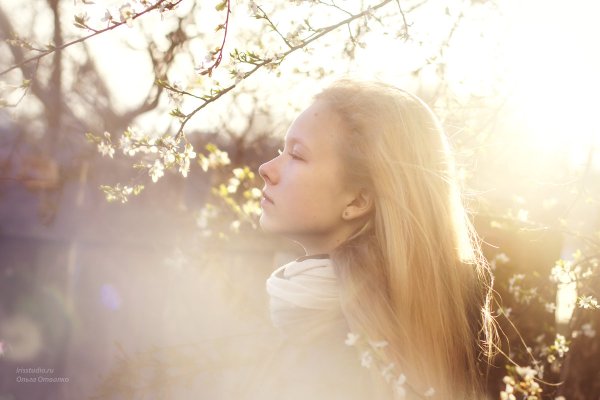 Весенний ветер