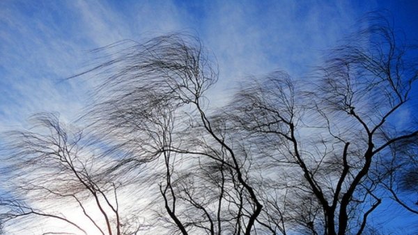 Ветер весной