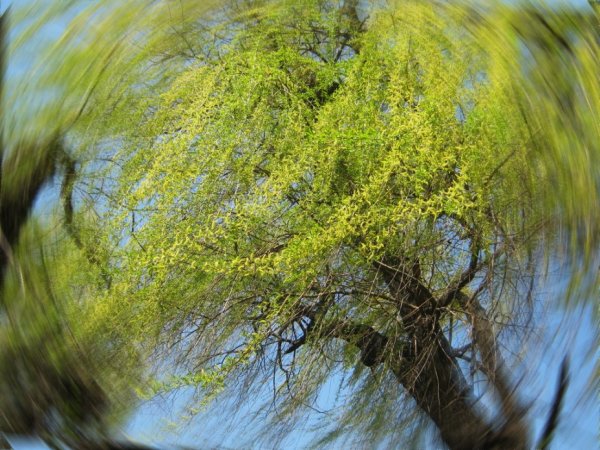 Весна фотограф